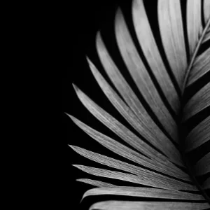 Azurio Template Loader Image