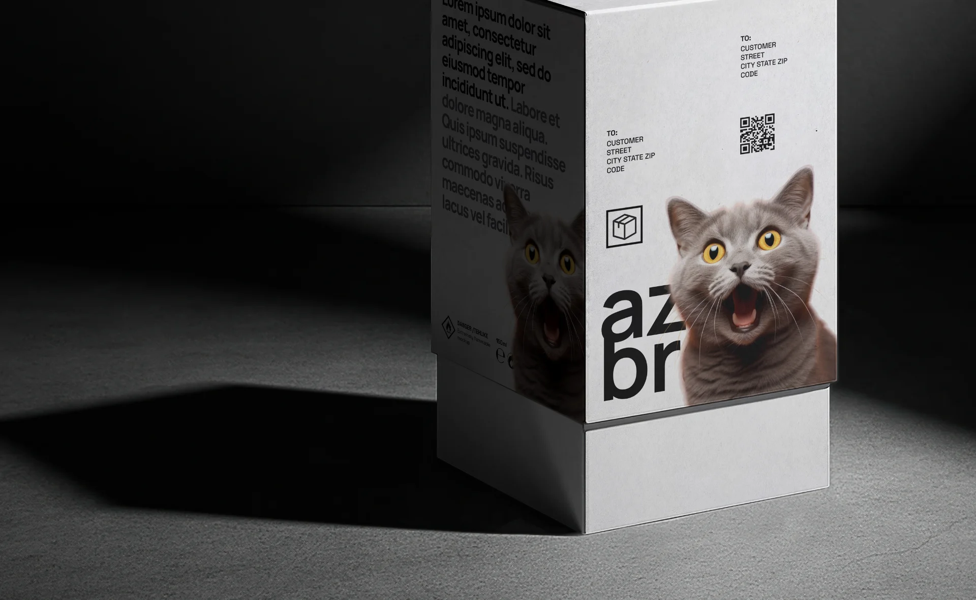 Project Preview Image