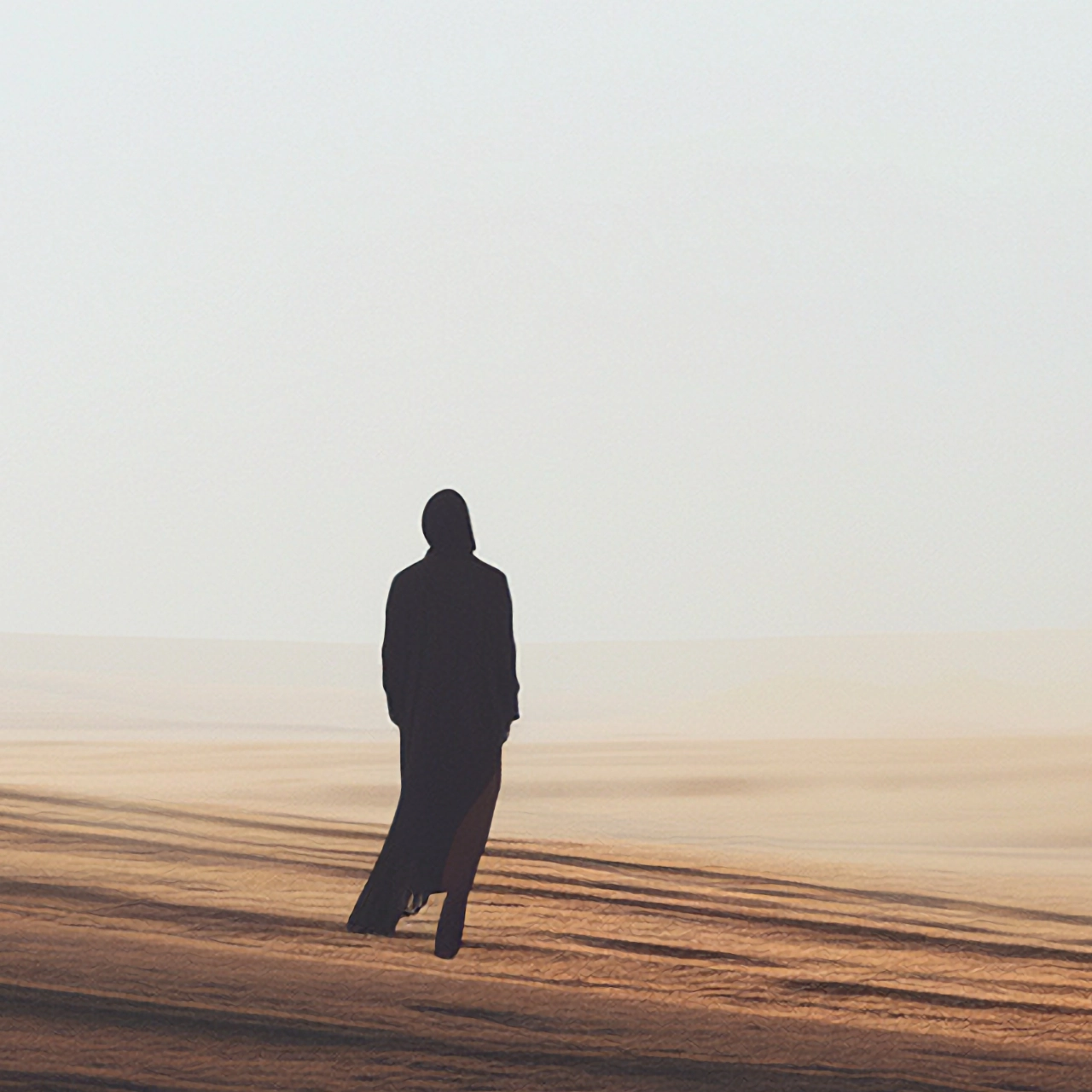 Project Preview Image