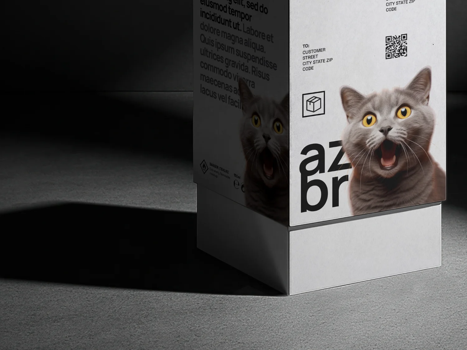 Project Preview Image